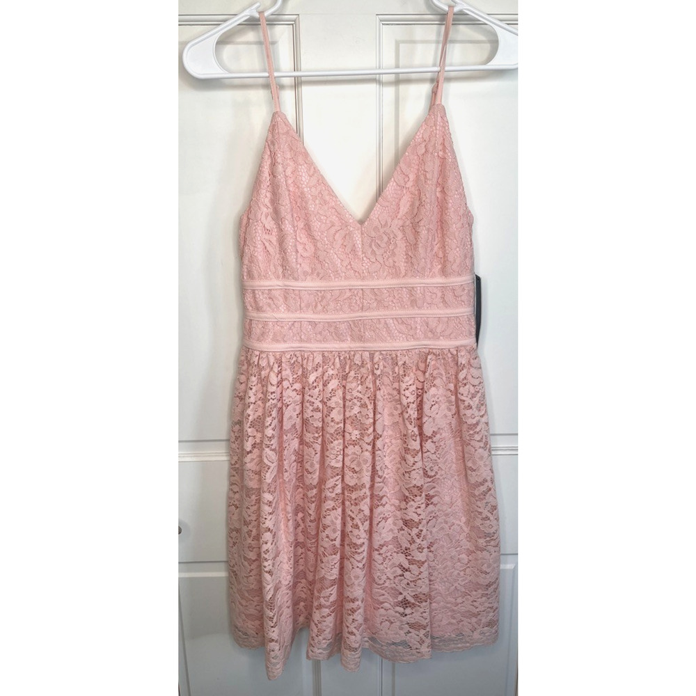 NWT LULUS Women's Wish Me Luxe Lace Skater Dress Sz M Pink Blush Girly Feminine
